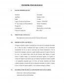 Informe.Para aplicación práctica del curso de Técnicas Proyectivas