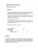 INMUEBLES, PLANTA Y EQUIPO