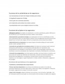 Funciones de los carbohidratos en los organismos
