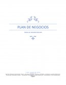 PLAN DE NEGOCIOS. TEMAS DE ADMINISTRACION