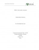 PERMA - Informe análisis y descripción