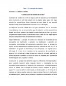 Construcción del número en el niño