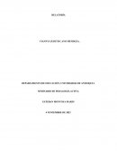 Una nave sin puerto definitivo