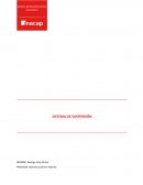 SISTEMA DE SUSPENSIÓN