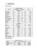 Costo de Inversión . Estimación de costos