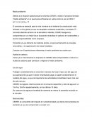 Cemex y su compromiso ambiental: iniciativas sostenibles y reducción de emisiones