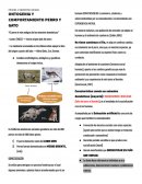 Ontogenia en Bienestar animal