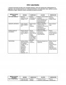 PPR7 ANATOMÍA UA CAFD