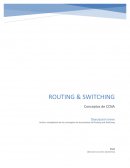 Internetworking Capas del modelo OSI