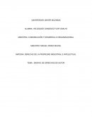 ENSAYO DE DERECHOS DE AUTOR