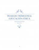 Trabajo calentamiento educación física