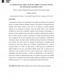 ELABORACIÓN DE JABÓN A BASE DE CARBÓN ACTIVADO A TRAVÉS DEL MÉTODO DE SAPONIFICACIÓN