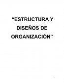 ESTRUCTURA Y DISEÑOS DE ORGANIZACIÓN