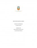 MATRIZ DOFA DESASTRE DE ARMERO . ANALISIS DE VULNERABILIDAD