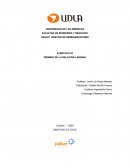 Remuneraciones - gestion de remuneraciones