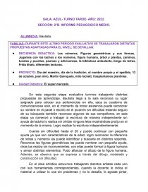SECCIÓN: 2°B. INFORME PEDAGOGICO MEDIO. Página 1