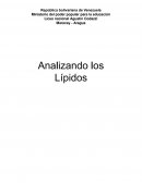 Analizando los Lípidos