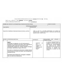 PROYECTO: LECTOESCRITURA A TRAVES DEL METODO DOMAN. Página 1