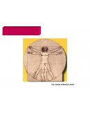 Manejo de métodos ergonómicos para el análisis de la actividad