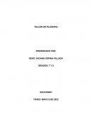 Filosofía Presocrática