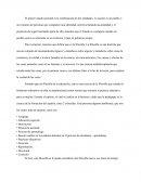 LA FILOSOFÍA DE LA EDUCACIÓN EN EL PRIMER ESTADO NACIONAL