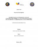INCIDENCIAS EN LA ENTRADA DE LA VÍA SAN LUIS-ARTILLERÍA DEBIDO A LA FALTA DE SEÑALIZACIÓN Y MAL ESTADO DE LA CARRETERA QUE CAUSAN SINIESTROS