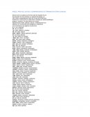 RAÍCES, PREFIJOS, SUFIJOS Y COMBINACIONES DE TÉRMINOS EN OTRAS LENGUAS