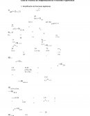 Guia Practica Fracciones Algebraicas