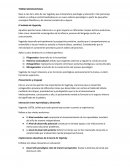 TEORIA SOCIOCULTURAL