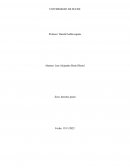 Derecho penal, la dogmática jurídico penal y sus elementos