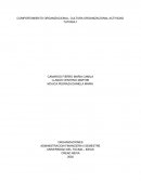 COMPORTAMIENTO ORGANIZACIONAL, CULTURA ORGANIZACIONAL ACTIVIDAD