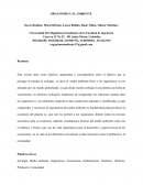 ORGANISMO Y AMBIENTE