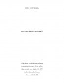 Formato de visita domiciliaria en trabajo social