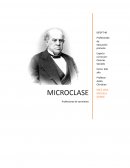 Las diferentes profesiones de Sarmiento antes de llegar a la presidencia de 1868-1874