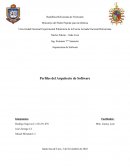 Arquitectura de Software. Perfiles del Arquitecto de Software