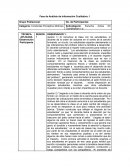 Fase de Análisis de Información Cualitativa : Conductas Perceptivo Motrices