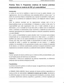 Propuestas creativas de buenas prácticas empresariales en materia de RSE y/o sostenibilidad