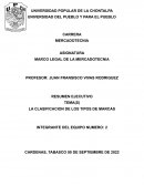 LA CLASIFICACION DE LOS TIPOS DE MARCAS
