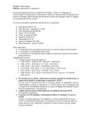 Importación y Exportación