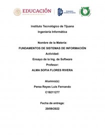Ingenieria de software. Página 1