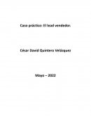 Caso práctico El lead vendedor
