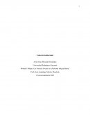Manifestar el máximo de aprecio que pueda tenerse por los conocimientos y poder transfórmalos en competencias