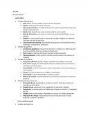 SEGMENTACION DE PRODUCTOS. ALPURA LECHES BLANCAS