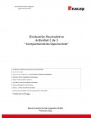 U.S.A. vs Microsoft Corporation