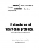 El derecho en mi profesion de relacionista público