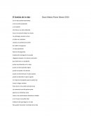 El Sentido de la vida- poema
