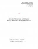 Teoría y Técnica de la Terapia Ocupacional III