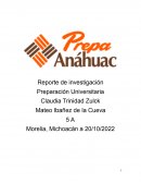 Reporte de investigación