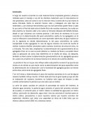 Conclusión ptáctica trabajo con mortero