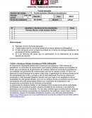 Fichas textuales (Residuos domésticos)